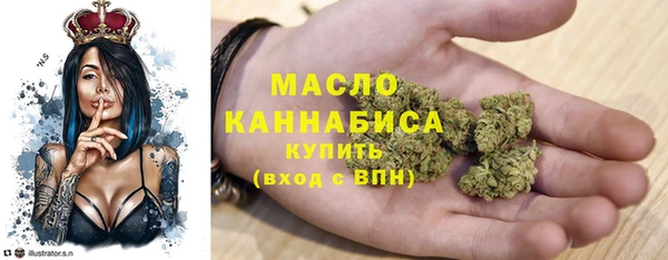 гидра Гусиноозёрск