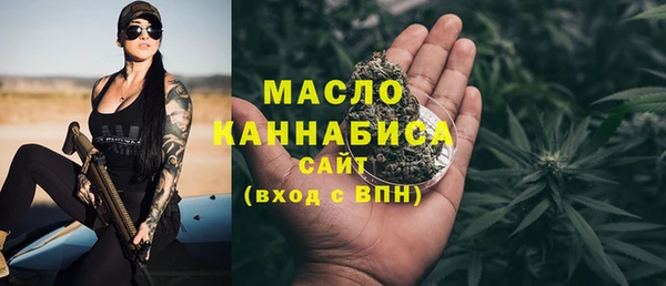 спайс Гусь-Хрустальный