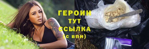 гидра Гусиноозёрск