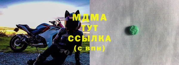 гидра Гусиноозёрск