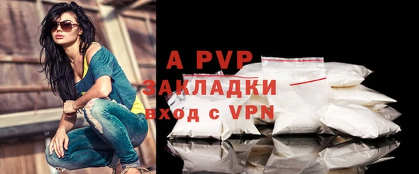 спайс Гусь-Хрустальный