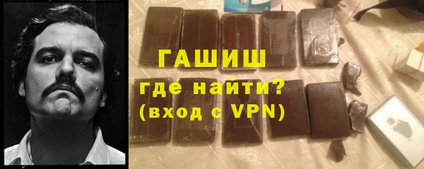 гидра Гусиноозёрск