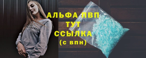 молекула духа Чекалин