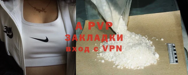 гидра Гусиноозёрск