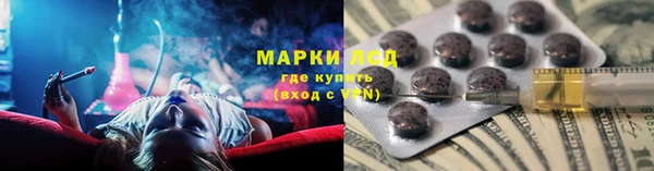 гидра Гусиноозёрск
