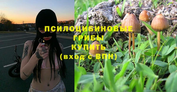 гидра Гусиноозёрск
