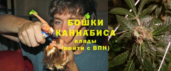 гидра Гусиноозёрск