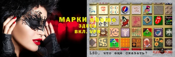 гидра Гусиноозёрск