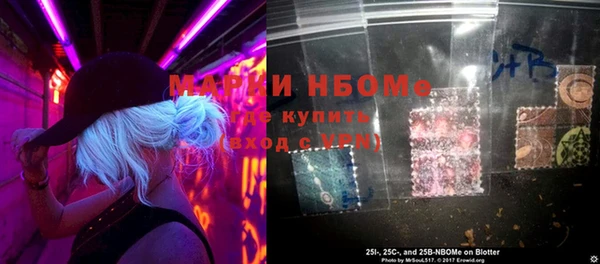 гидра Гусиноозёрск