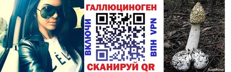 Галлюциногенные грибы GOLDEN TEACHER  хочу наркоту  площадка формула  Меленки  mega  